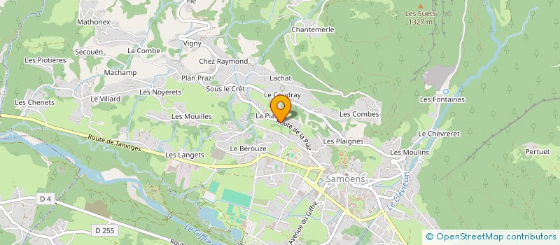 localisation de l'entreprise MONSIEUR JEAN-MATHIEU FALLARD  SAMOENS