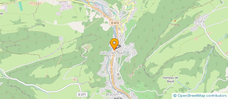 localisation de l'entreprise MONSIEUR JEAN MAZZOLENI  SALINS-LES-BAINS