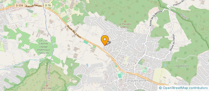 localisation de l'entreprise MONSIEUR JEAN MENGOZZI  CARQUEIRANNE