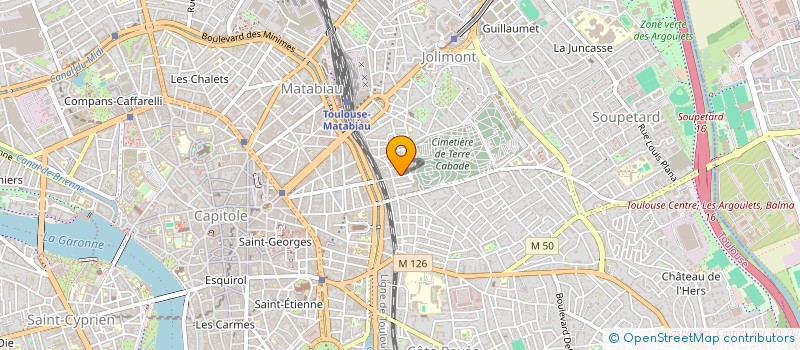 localisation de l'entreprise MONSIEUR JEAN MERLE à TOULOUSE