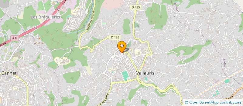 localisation de l'entreprise MONSIEUR JEAN MICHEL à VALLAURIS