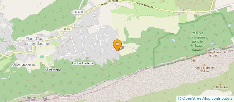 localisation de l'entreprise MONSIEUR JEAN MICHEL AICARDI  PLAN-D'AUPS-SAINTE-BAUME