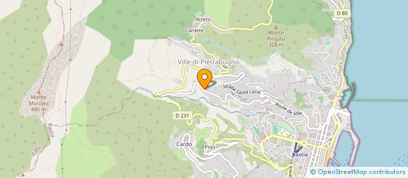 localisation de l'entreprise MONSIEUR JEAN-MICHEL BEQUIN  VILLE-DI-PIETRABUGNO