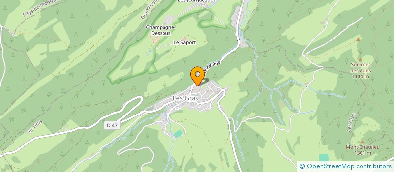 localisation de l'entreprise MONSIEUR JEAN-MICHEL BONNET  LES GRAS