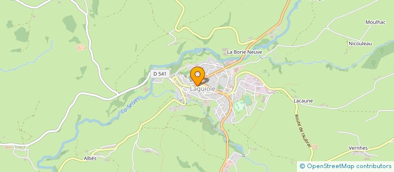 localisation de l'entreprise MONSIEUR JEAN MICHEL CAYRON à LAGUIOLE