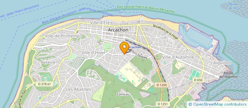 localisation de l'entreprise MONSIEUR JEAN MICHEL DARREGUET  ARCACHON