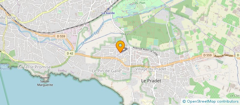 localisation de l'entreprise MONSIEUR JEAN MICHEL DAVID  LE PRADET