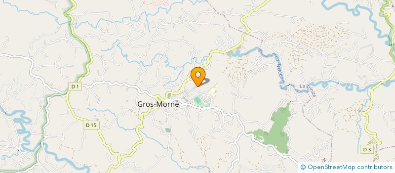 localisation de l'entreprise MONSIEUR JEAN-MICHEL DEMAZY  GROS-MORNE