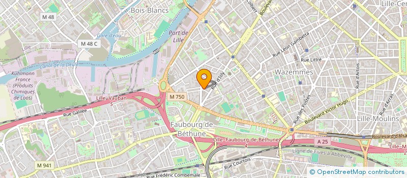 localisation de l'entreprise MONSIEUR JEAN-MICHEL GUERMONPREZ  LILLE