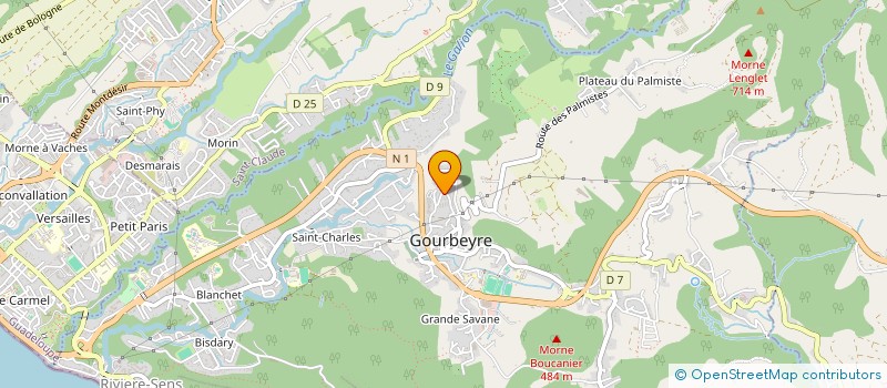localisation de l'entreprise MONSIEUR JEAN MICHEL HOMER à GOURBEYRE
