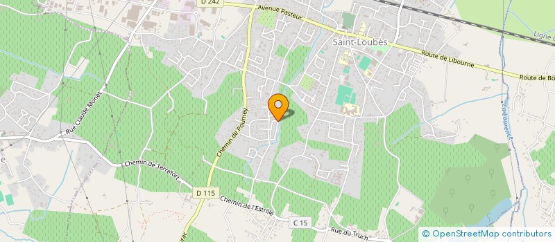 localisation de l'entreprise MONSIEUR JEAN MICHEL JANNUZZI  SAINT-LOUBES