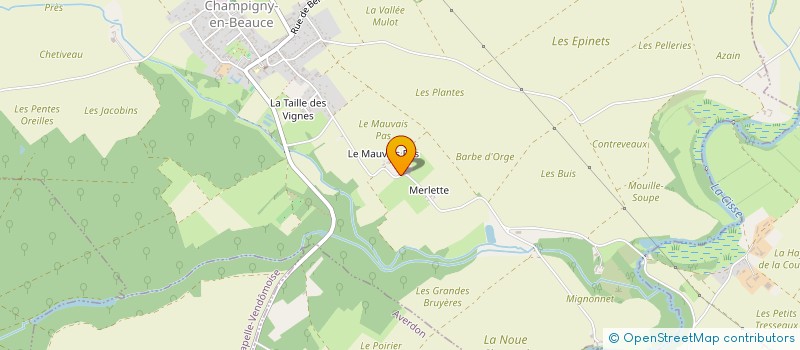 localisation de l'entreprise MONSIEUR JEAN MICHEL JARDIN  CHAMPIGNY-EN-BEAUCE