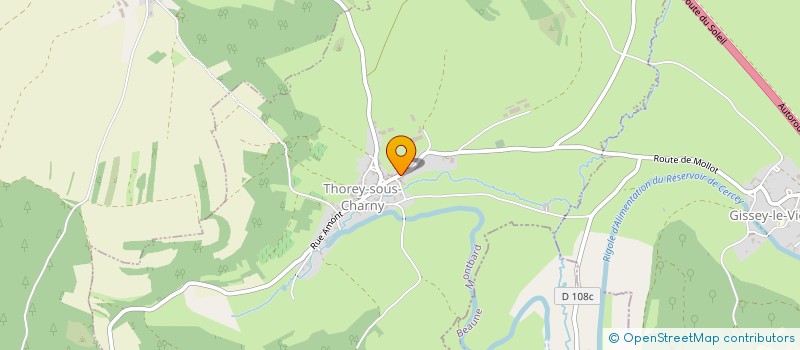 localisation de l'entreprise MONSIEUR JEAN-MICHEL LEVEQUE  THOREY-SOUS-CHARNY