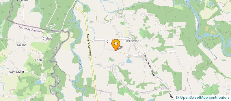 localisation de l'entreprise MONSIEUR JEAN-MICHEL LION  BERNEDE