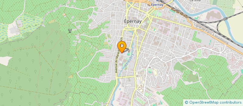 localisation de l'entreprise MONSIEUR JEAN-MICHEL MASSON  EPERNAY