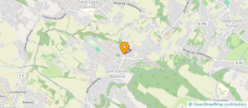 localisation de l'entreprise MONSIEUR JEAN-MICHEL NOUZIERES  SAINT-GENIES-BELLEVUE