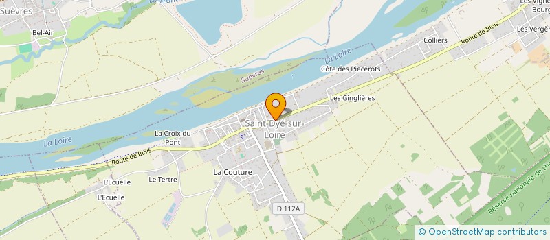 localisation de l'entreprise MONSIEUR JEAN-MICHEL POTEL  SAINT-DYE-SUR-LOIRE