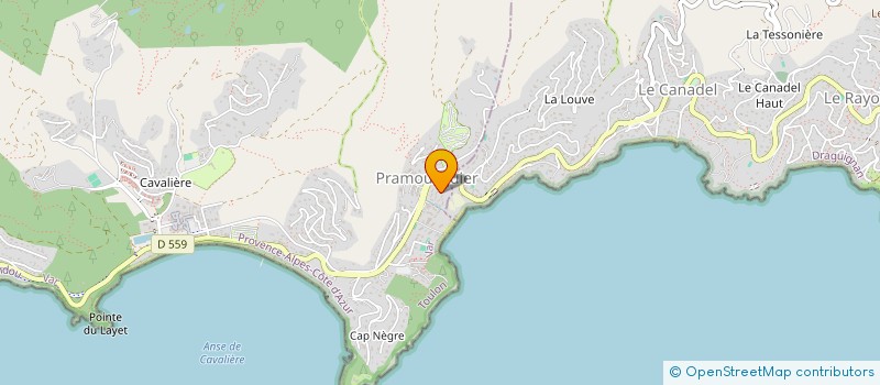 localisation de l'entreprise MONSIEUR JEAN MICHEL SENNAC à LE LAVANDOU