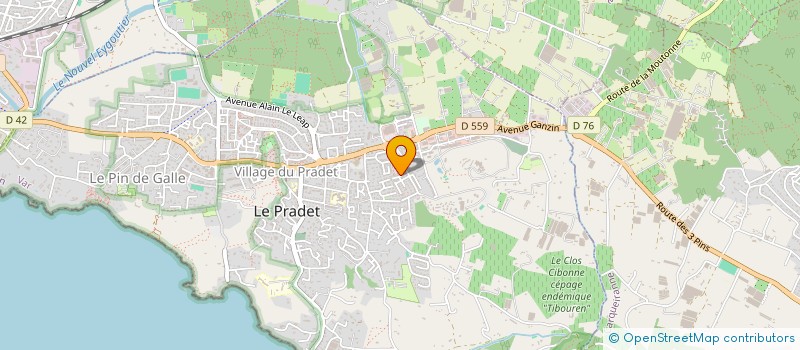 localisation de l'entreprise MONSIEUR JEAN-MICHEL SIMONET à LE PRADET