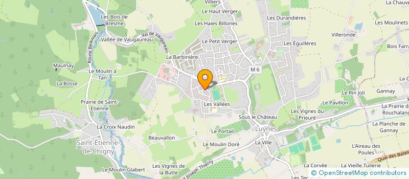 localisation de l'entreprise MONSIEUR JEAN-MICHEL TAMIN  LUYNES