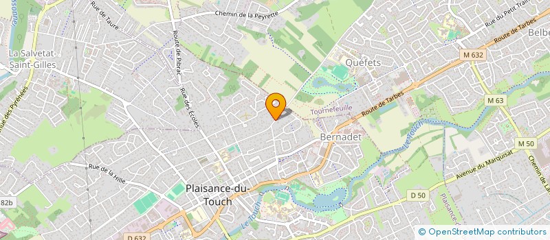 localisation de l'entreprise MONSIEUR JEAN-MICHEL TERME  PLAISANCE-DU-TOUCH