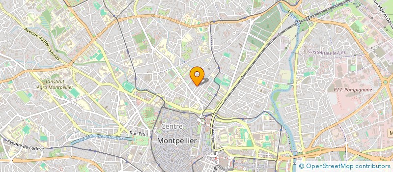 localisation de l'entreprise MONSIEUR JEAN-MICHEL VERDAN à MONTPELLIER