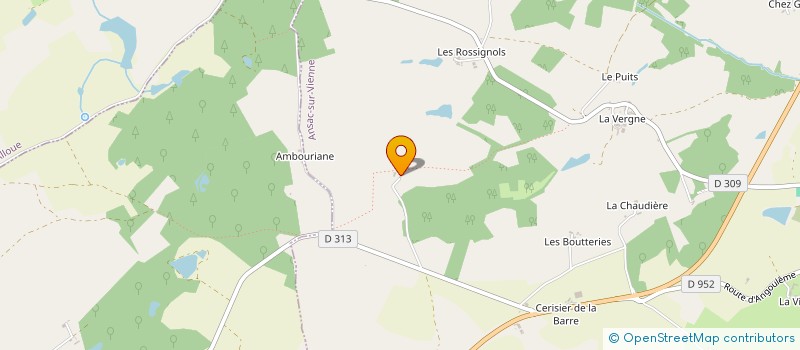 localisation de l'entreprise MONSIEUR JEAN-MICHEL VERGEER à ANSAC-SUR-VIENNE