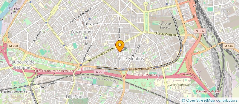 localisation de l'entreprise MONSIEUR JEAN MOISE DELZENNE à LILLE