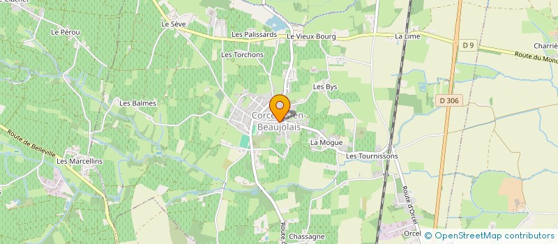 localisation de l'entreprise MONSIEUR JEAN MONNET  CORCELLES-EN-BEAUJOLAIS