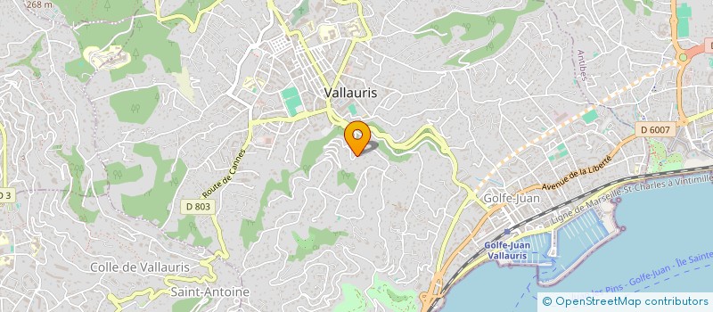 localisation de l'entreprise MONSIEUR JEAN NOEL FALCOU à VALLAURIS