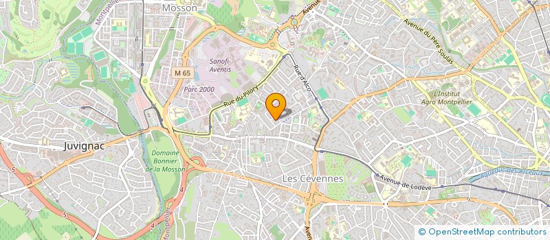 localisation de l'entreprise MONSIEUR JEAN NORBERTO à MONTPELLIER