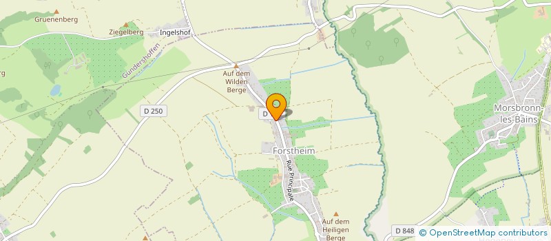 localisation de l'entreprise MONSIEUR JEAN OHLMANN  FORSTHEIM