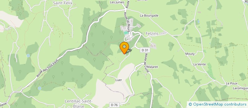 localisation de l'entreprise MONSIEUR JEAN PARAMELLE  FELZINS