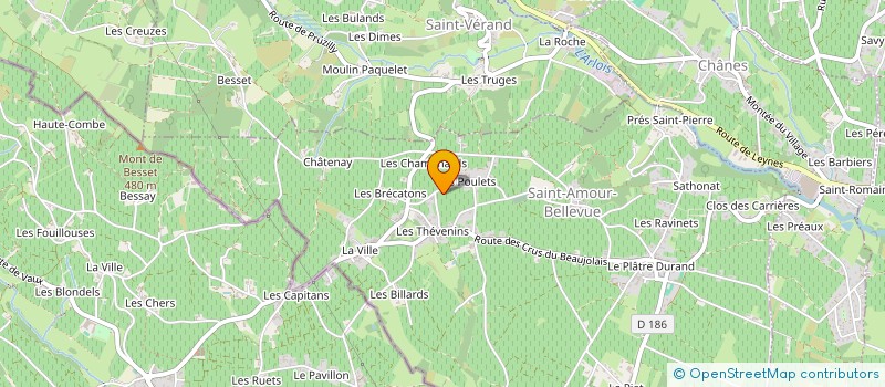 localisation de l'entreprise MONSIEUR JEAN PATISSIER à SAINT-AMOUR-BELLEVUE