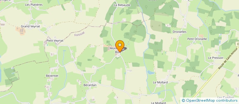 localisation de l'entreprise MONSIEUR JEAN PAUGET à FOISSIAT