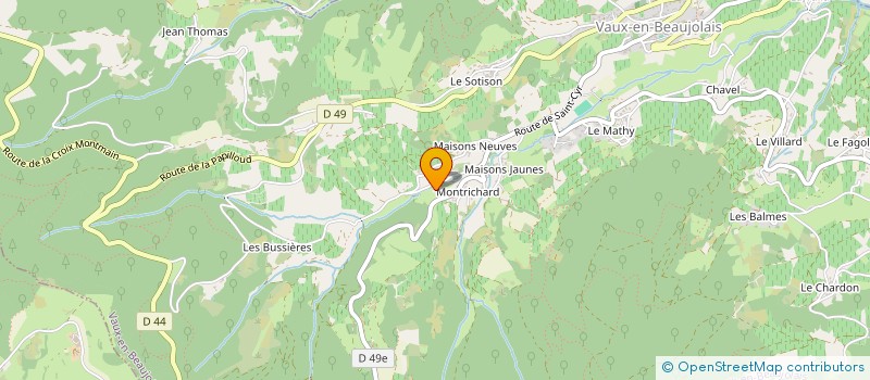 localisation de l'entreprise MONSIEUR JEAN-PAUL DE VERMONT  VAUX-EN-BEAUJOLAIS