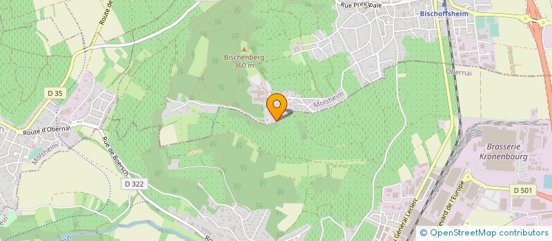 localisation de l'entreprise MONSIEUR JEAN PAUL ECK  BISCHOFFSHEIM