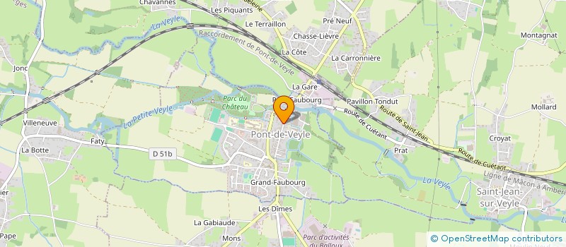 localisation de l'entreprise MONSIEUR JEAN PAUL MARTINET  PONT-DE-VEYLE