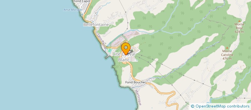 localisation de l'entreprise MONSIEUR JEAN-PAUL NERET  BELLEFONTAINE