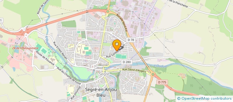 localisation de l'entreprise MONSIEUR JEAN-PAUL ROMANN à SEGRE-EN-ANJOU BLEU