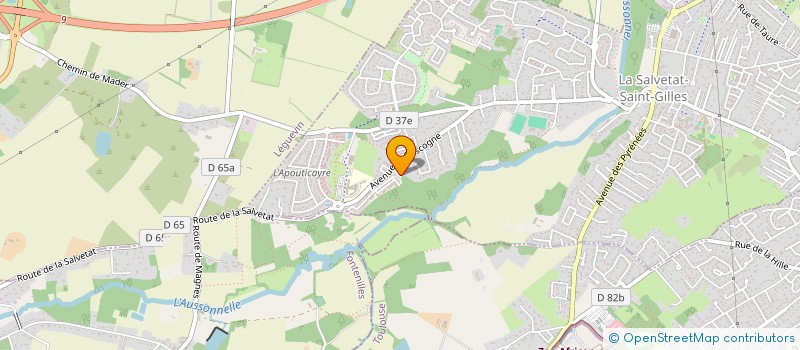 localisation de l'entreprise MONSIEUR JEAN-PAUL THOMAS  LA SALVETAT-SAINT-GILLES