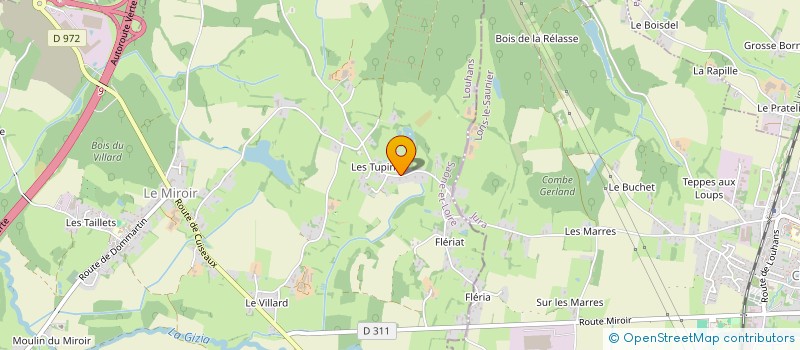 localisation de l'entreprise MONSIEUR JEAN-PAUL TRIBOULET  LE MIROIR