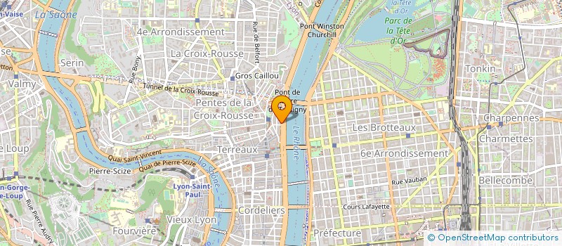 localisation de l'entreprise MONSIEUR JEAN-PHILIPPE DELSOL à LYON