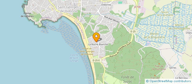 localisation de l'entreprise MONSIEUR JEAN-PHILIPPE MAMETZ  SAINT-GEORGES-DE-DIDONNE