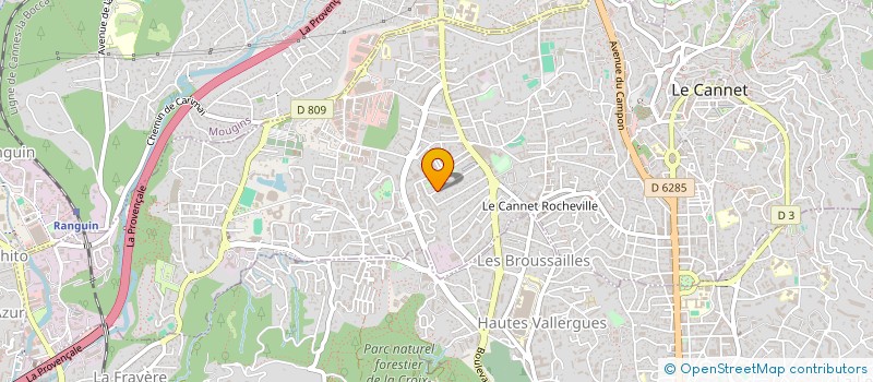 localisation de l'entreprise MONSIEUR JEAN-PHILIPPE ROUBAUD à LE CANNET
