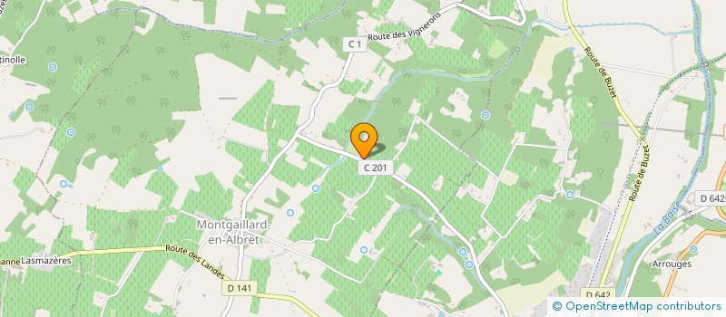 localisation de l'entreprise MONSIEUR JEAN-PIERRE AYGALENG  MONTGAILLARD-EN-ALBRET