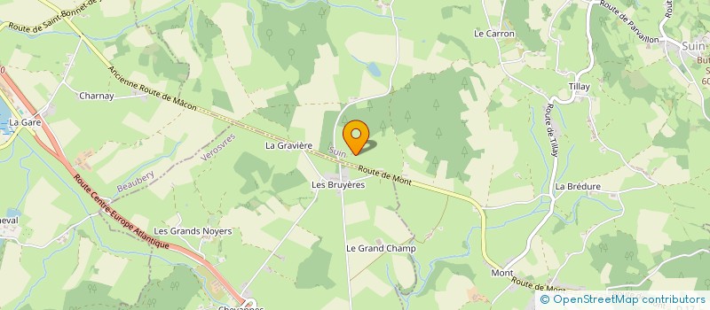 localisation de l'entreprise MONSIEUR JEAN PIERRE COGNARD à SUIN