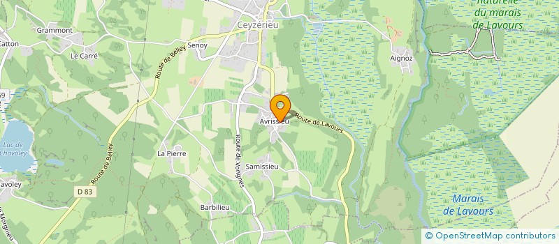 localisation de l'entreprise MONSIEUR JEAN PIERRE DETOURNAY à CEYZERIEU