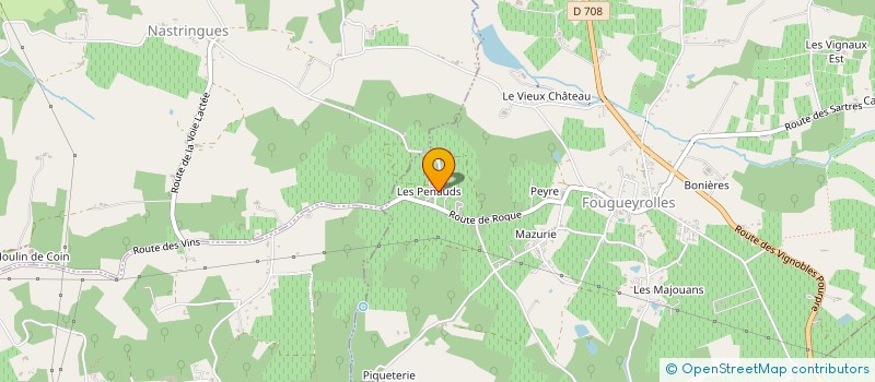localisation de l'entreprise MONSIEUR JEAN PIERRE GOURREAU  FOUGUEYROLLES