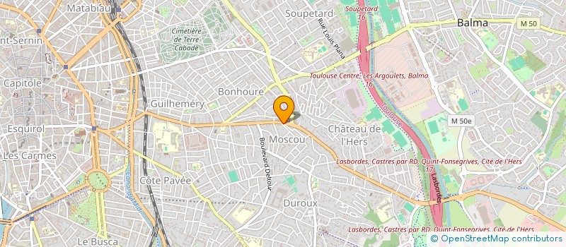 localisation de l'entreprise MONSIEUR JEAN-PIERRE LECHENE à TOULOUSE